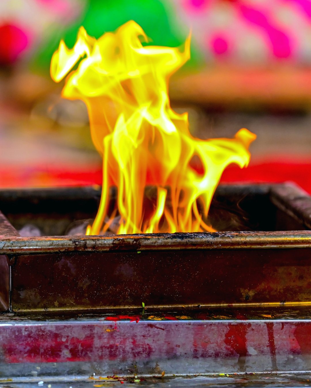 gayatri-havanam-aryan-astrology